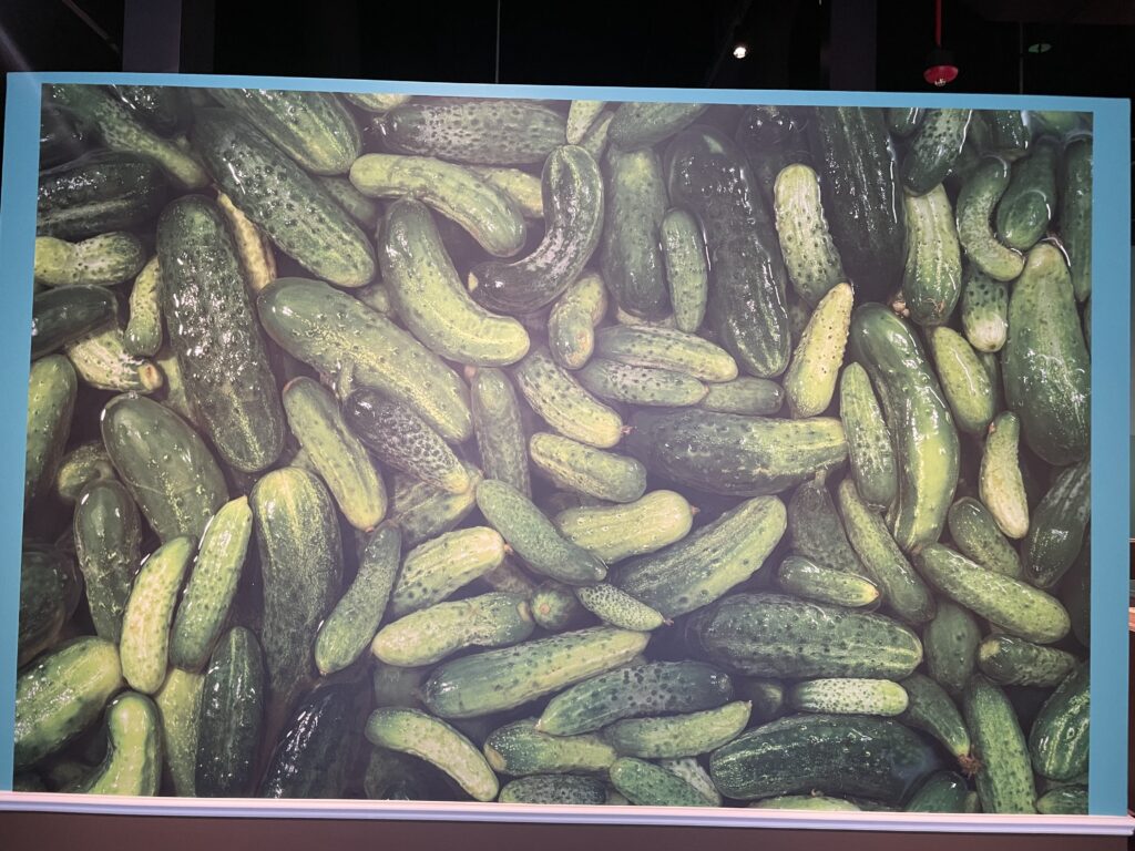 Whole Lotta Pickles